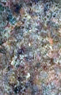 FAIANTA MODELS SORAYA ROSSO  25X38 – 8 mm