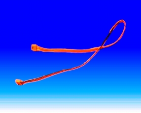  Set de cablu pt Micra Plus