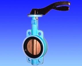 Robinet fluture din fonta DN 50 disc otel PN16 