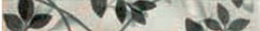 FRIZ TREND BIANCO 1/2 5X38 – 8,5 mm