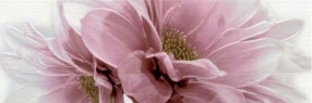 DECOR TRESOR FIORI ROSA 25x76 – 11 mm