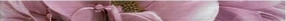 FRIZ TRESOR FIORI ROSA 1/2  5,5x76  – 11 mm