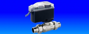 VANA 2 CAI CU SFERA MOTORIZATA 3/4 FF