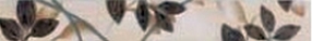 FRIZ TREND MARFIL 1/2 5X38 – 8,5 mm